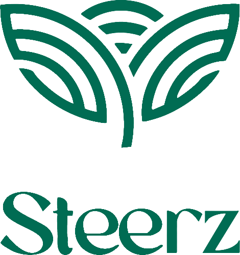 steerzstore